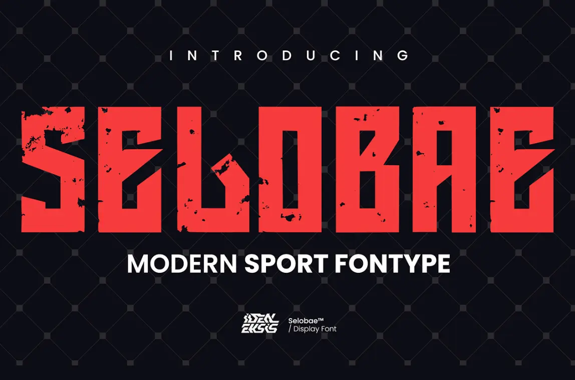 SELOBAE Modern Sport Fontype